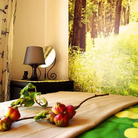 Polskacanaria Gardeja